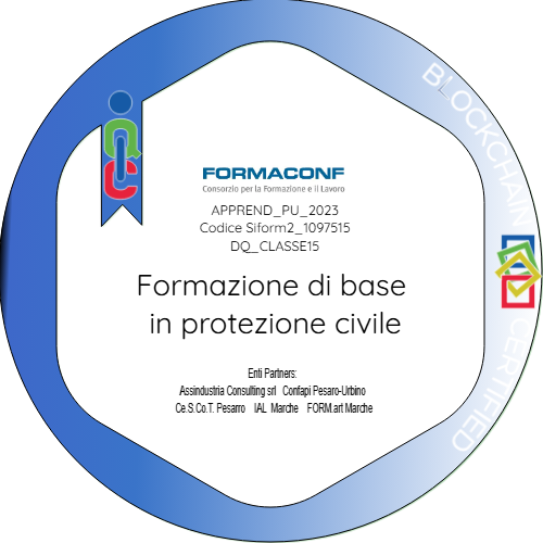 Badge pubblico 60002